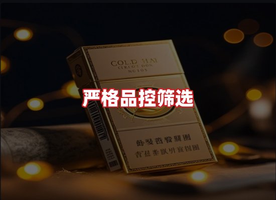 专业团队